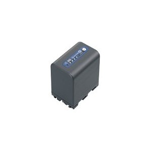 Sony NP-QM91D Batterie Lithium-Ion pour DCR-DVD101, 201, 301, SR
