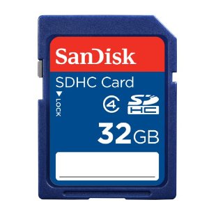 SanDisk 32 GB SDHC Flash Memory Card SDSDB-032G